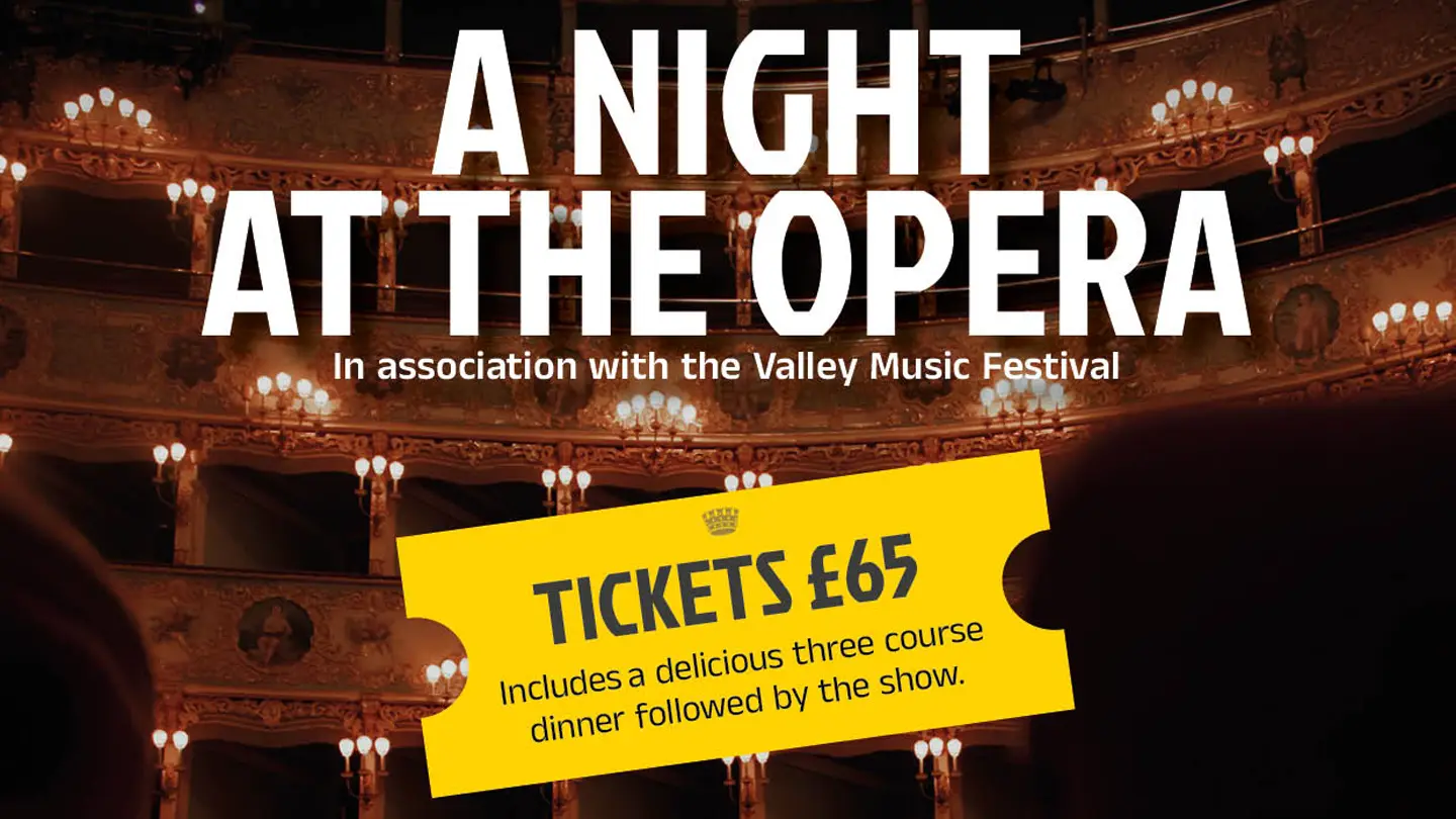 A NIght at the Opera image
